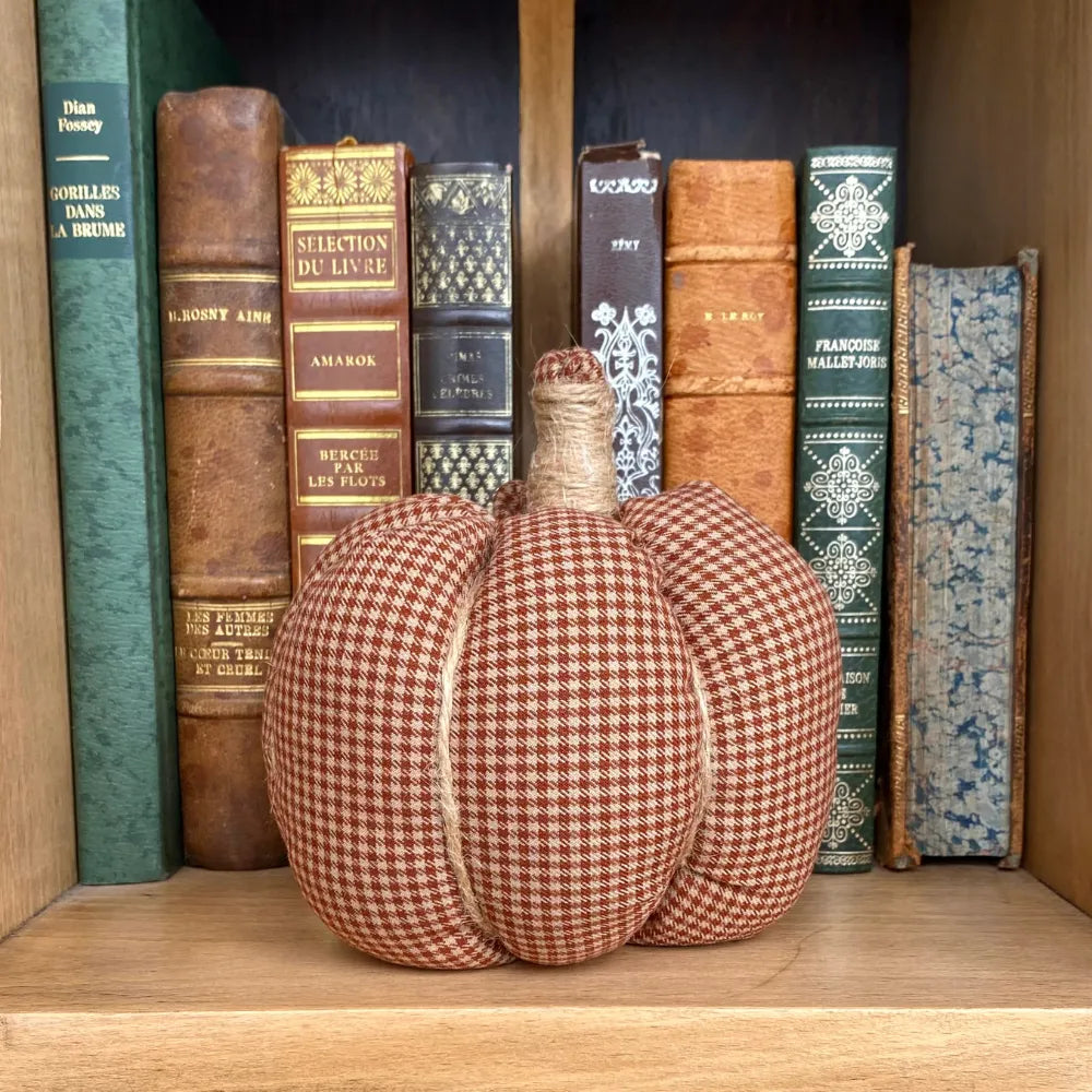 Le DIY citrouille box cosy Un air d'Édimbourg