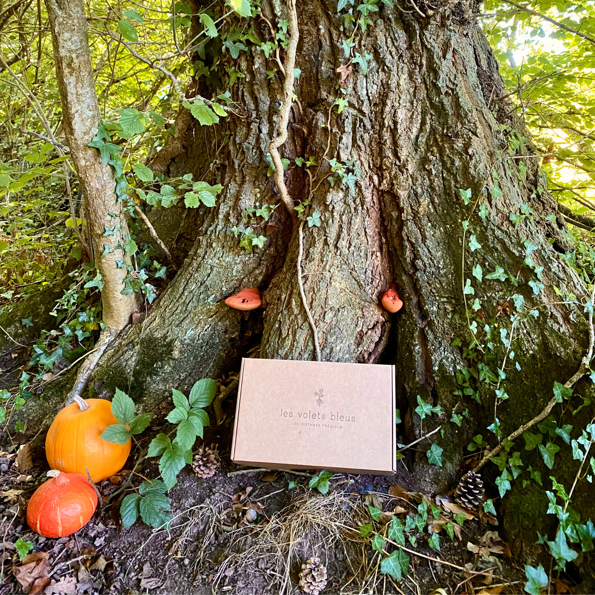 Mystères à Aubrelune