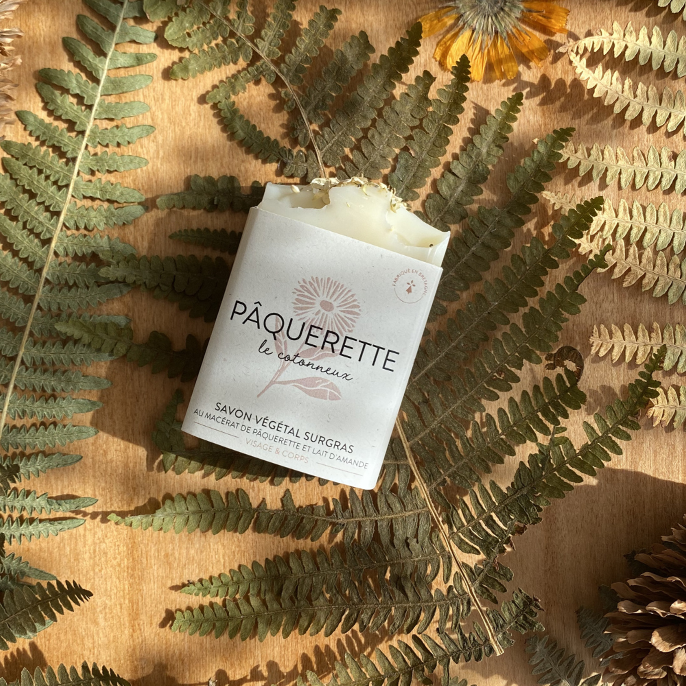 Savon à la pâquerette